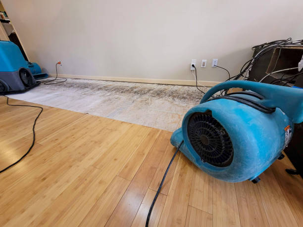 Professional Water Removal technician working in Kyle, TX